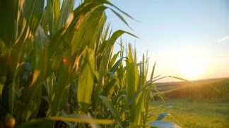 Giovani e agricoltura, CIA Belluno sempre più vicina al mondo della scuola