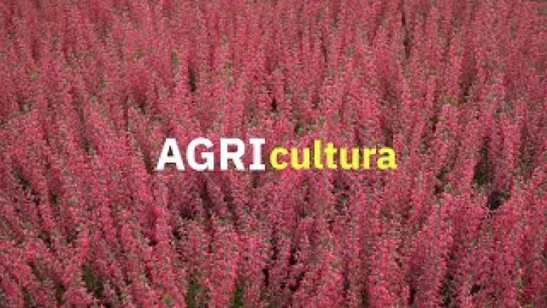 AGRIcultura