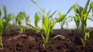 Continua la collaborazione tra cacciatori e agricoltori: riunito il “Tavolo verde”