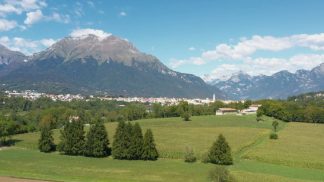 Curare e valorizzare il patrimonio arboreo della città: Belluno avvia il Piano del verde