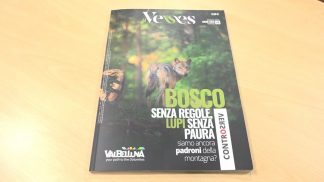 Gli approfondimenti del numero di marzo de “Il Veses”