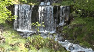 Studenti delle scuole in Prefettura per la salvaguardia dell’elemento acqua