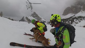 I cani da soccorso addestrati a Cortina: concluso il corso per unità cinofile