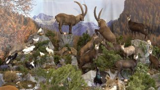 Longarone Fiere: il bilancio positivo di “Caccia, pesca, natura”