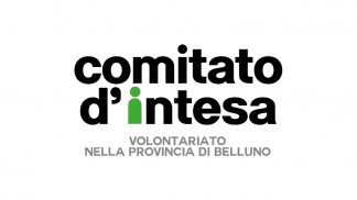 Comitato d’intesa, un anno intenso