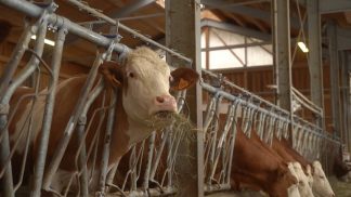 Cianton Ladin – puntata del 30/04/25