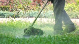 Gestione del verde, novità in città: sfalci e taglio siepi in mano alle aziende agricole locali
