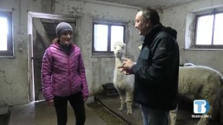 Voci di Valle – puntata del 1 Aprile 2025