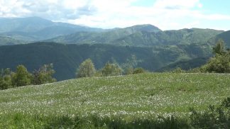 Apprezzare le Dolomiti con più consapevolezza: si è concluso il “Festival dell’Ambiente”