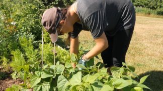 Con Coldiretti Belluno e Comune di Sedico il progetto “Dall’orto alla tavola”