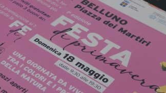 I colori e i profumi della natura nella Festa di primavera