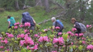 Vivere la montagna in maniera consapevole: i consigli sul web