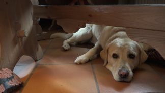 Cianton Ladin – puntata del 14/05/25