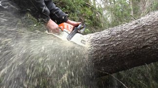 Incidente sul lavoro mortale a Sappada, Flai Cgil chiede maggiori controlli nei cantieri boschivi