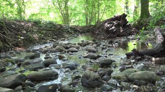 Un percorso naturalistico per valorizzare la Torbiera di Lipoi