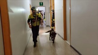 Simulazione di terremoto, all’Agrario gli alunni imparano l’abc della sicurezza