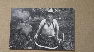 Il Museo Etnografico Dolomiti celebra i 150 anni dell’emigrazione italiana in Brasile