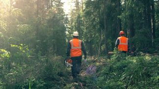 Dal Fondo Comuni Confinanti un milione e mezzo di euro per le imprese del legno