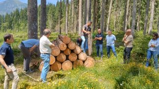 In Val Visdende un Open Day contro il proliferare del bostrico