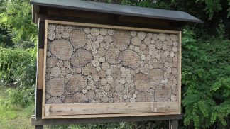 A Pedavena anche le api “single” hanno ora la loro casa