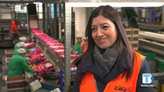 Melicoltura nella pianura romagnola (AGRINET: Il futuro in campo – EP 3)