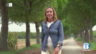 Noci nella Laguna Veneta (AGRINET: Il futuro in campo – EP 1)