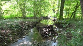 La torbiera di Lipoi