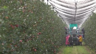 Il meteo pazzo mette in difficoltà gli agricoltori