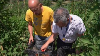 24 – Orto del Sorriso di Ancona