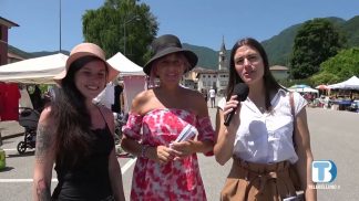 Setteville e Segusino, parole e immagini dal basso Feltrino – Agosto 2025