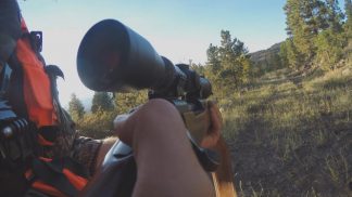 Filiera della carne di selvaggina: in arrivo nuovi contributi