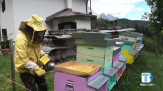 Voci di Valle puntata di martedì 2 Settembre 2025