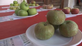 Borgo Valbelluna, dal 9 al 12 ottobre ritorna Mele a Mel
