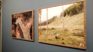 Cosa resta dopo Vaia? A Mel una mostra sulle conseguenze della tempesta e dei cambiamenti climatici