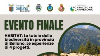 Tutela della biodiversità: le esperienze di quattro progetti finanziati dalla Fondazione Cariverona
