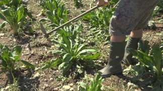 Agricoltura di montagna: in arrivo 18 milioni di euro