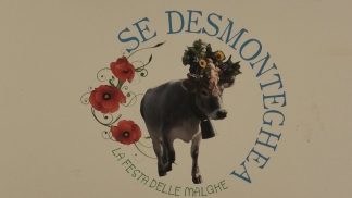 La transumanza fra tradizione, cultura e spettacolo