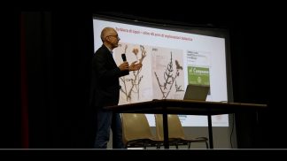 La biodiversità bellunese in primo piano grazie ai bandi Habitat di Fondazione Cariverona