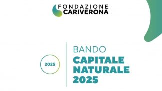 Cariverona investe sulla sostenibilità ambientale: i progetti bellunesi