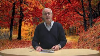 Insieme – Rassegna di giornali della provincia di Belluno a cura di Don Giorgio Aresi – 01/10/2025