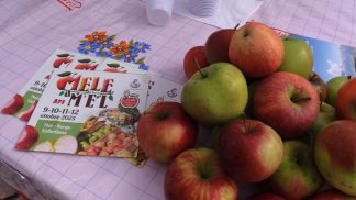 25 anni di Mele a Mel, ed è un’edizione con presenze record