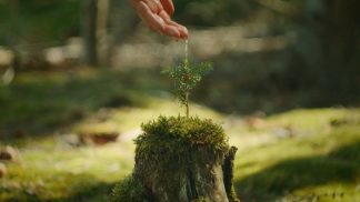 Educazione ambientale: i progetti di Servizi Integrati Bellunesi per le scuole