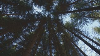 Trovato il corpo dell’86enne disperso ieri in zona L’Andria