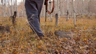 Cade nel dirupo recuperando un cervo: morto un cacciatore bellunese