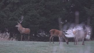 Provincia di Belluno: confermata l’autonomia di caccia e pesca