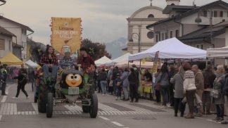 Limana, dolce weekend con la Festa del miele