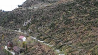 Vaia, sette anni fa la grande tempesta che ha cambiato il volto delle nostre valli