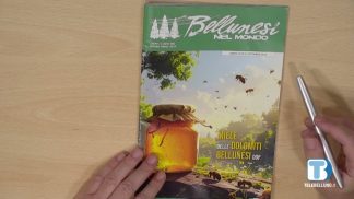 Rassegna di giornali della provincia di Belluno a cura di Don Giorgio Aresi – 29/10/2025