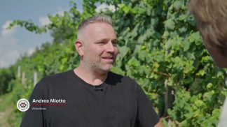 Perchè il Prosecco Conegliano Valdobbiadene DOCG è superiore? – Seconda puntata