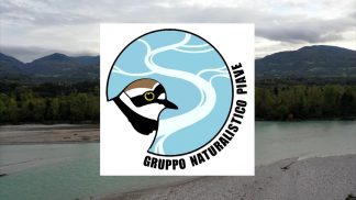 Tutela e valorizzazione del fiume Piave, nasce una rete di naturalisti ad hoc